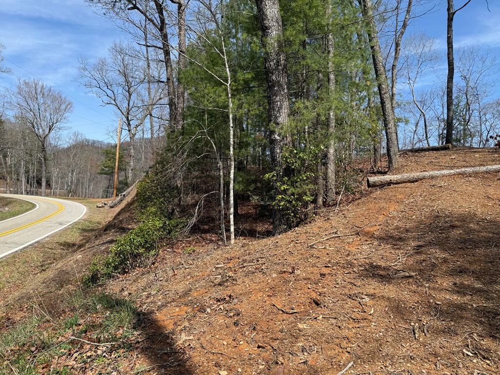 0 Hiwassee Dam Access Road Murphy, NC 28906 - Photo 3 of 7