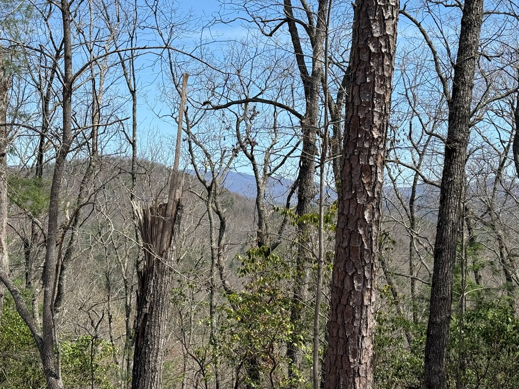0 Hiwassee Dam Access Road Murphy, NC 28906 - Photo 6 of 7