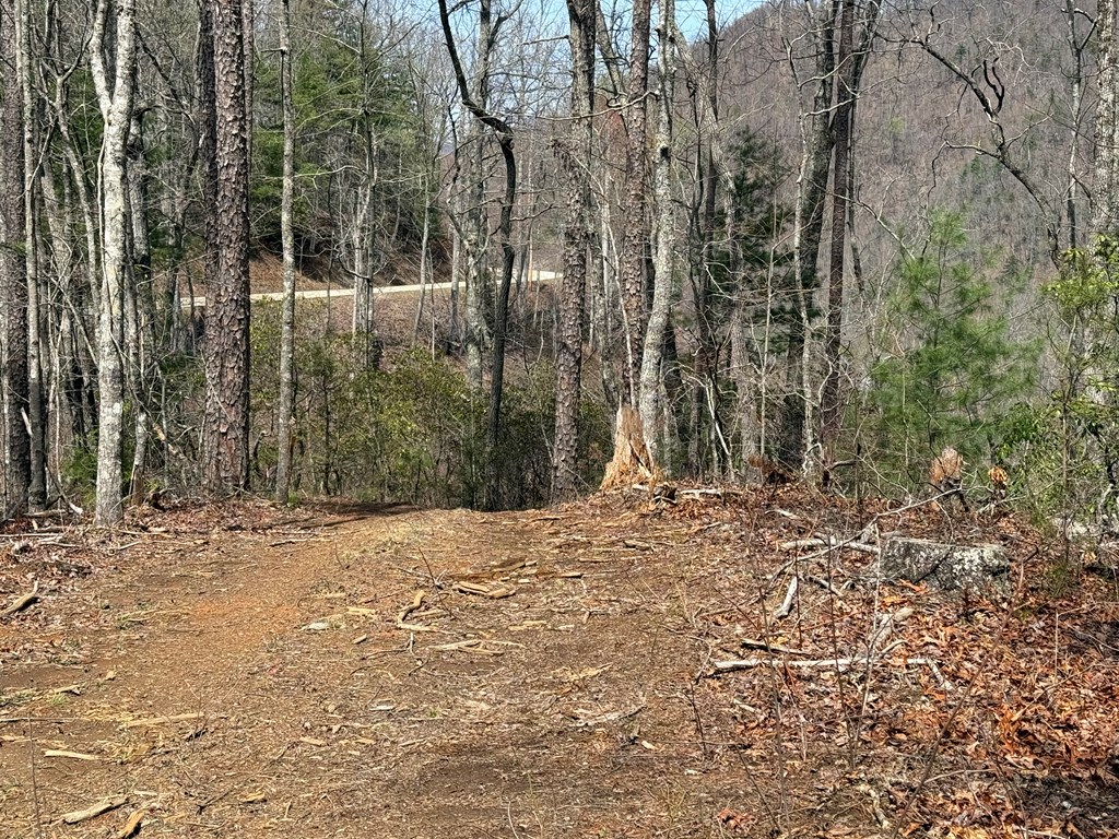 0 Hiwassee Dam Access Road Murphy, NC 28906 - Photo 7 of 7