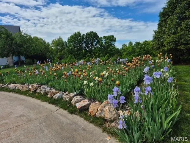 $39,900 | 11 Fox Trotter Court, High Ridge, MO 63049