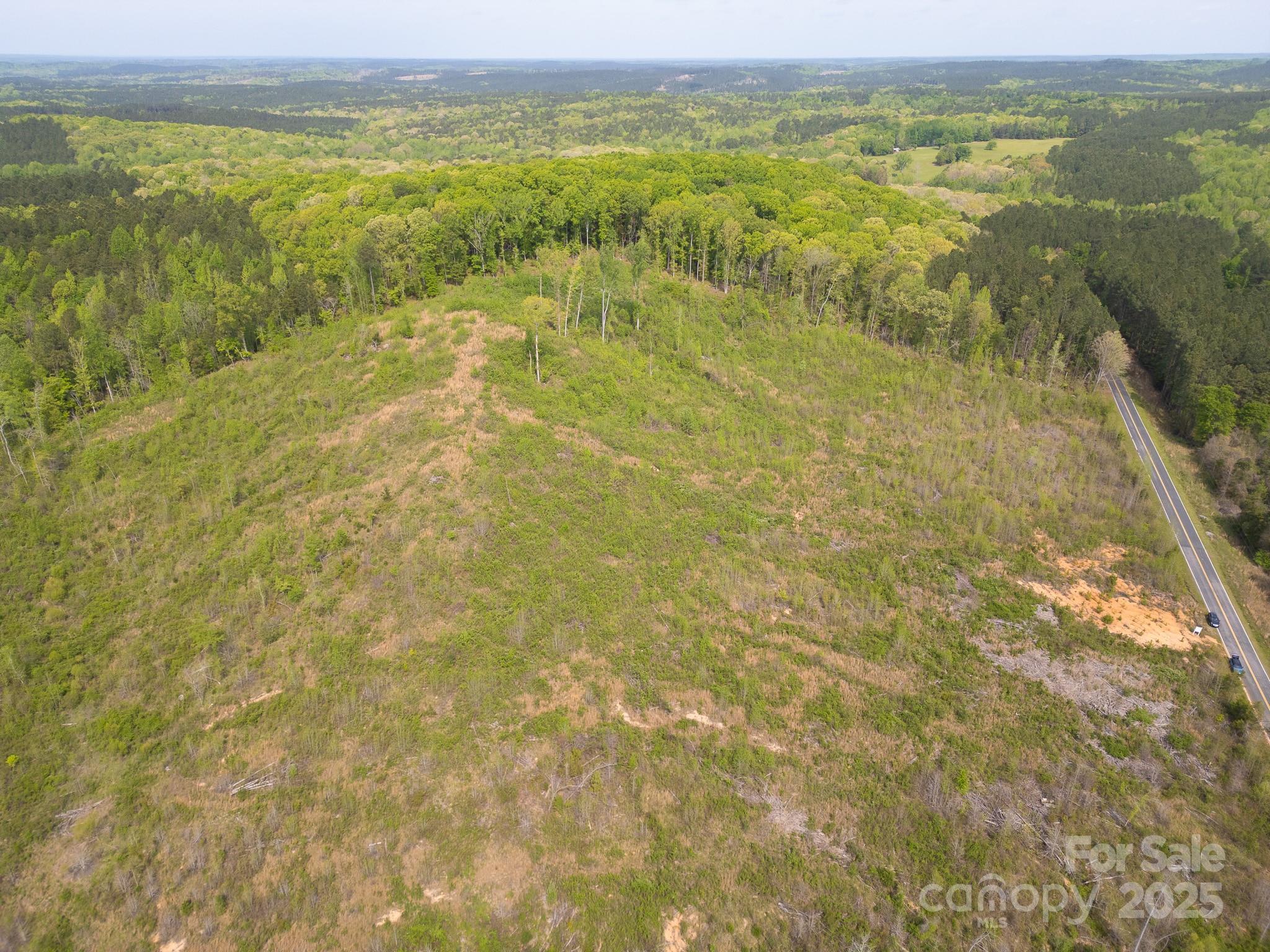 Tbd Mingo Lane Heath Springs, SC 29058 - Photo 4 of 8