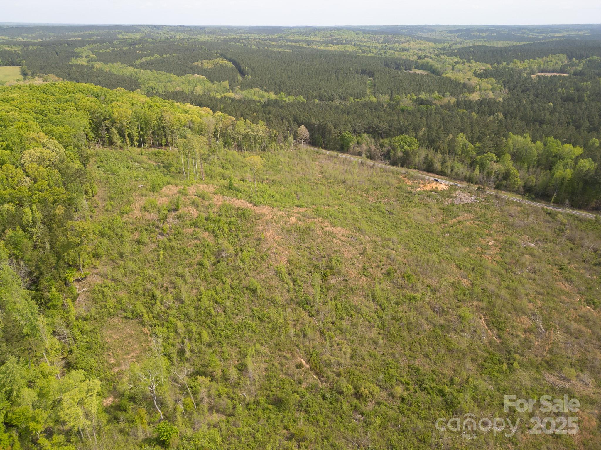 Tbd Mingo Lane Heath Springs, SC 29058 - Photo 5 of 8