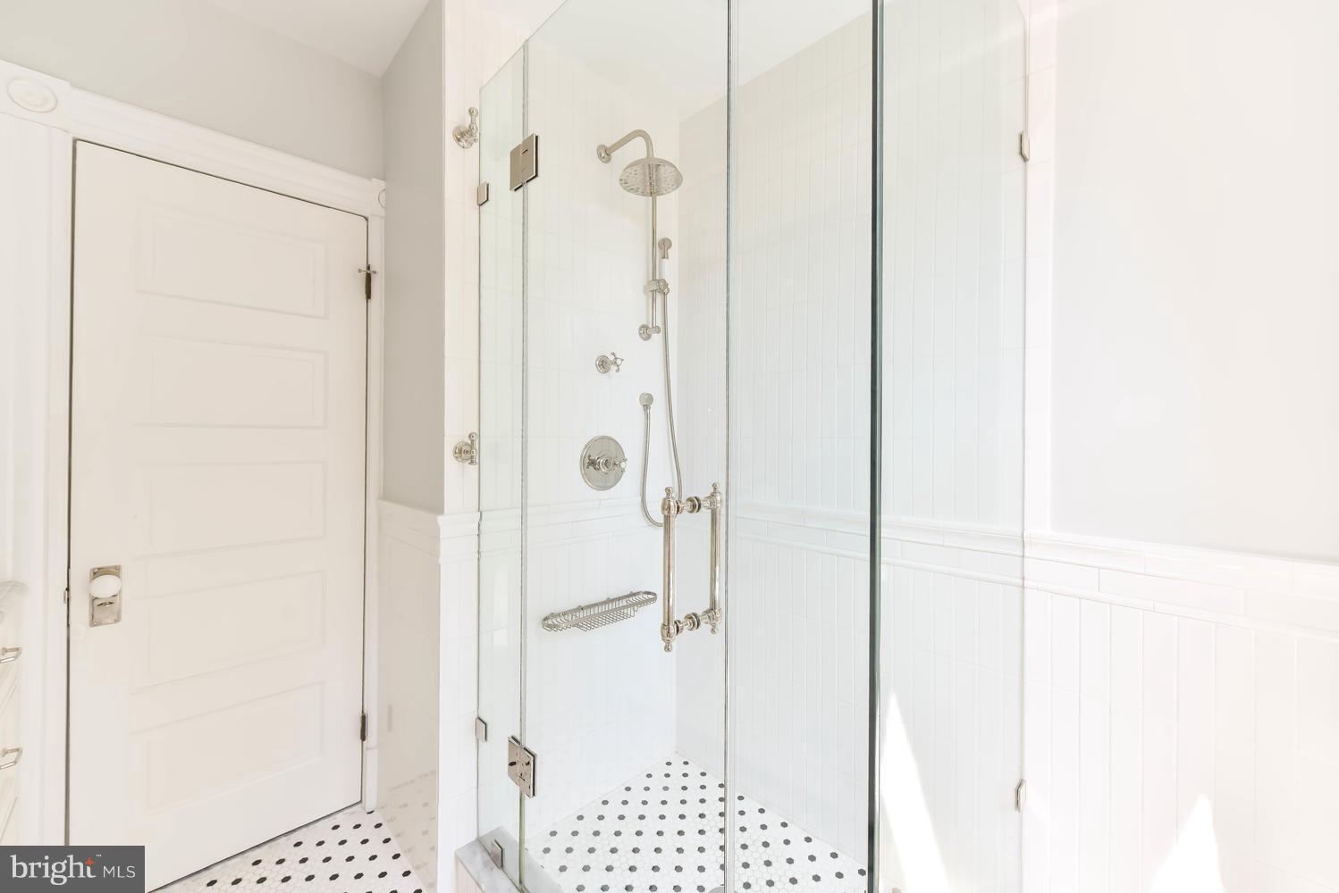 308 11th Street Southeast Washington, DC 20003 - Photo 24 of 30 a bathroom with a shower