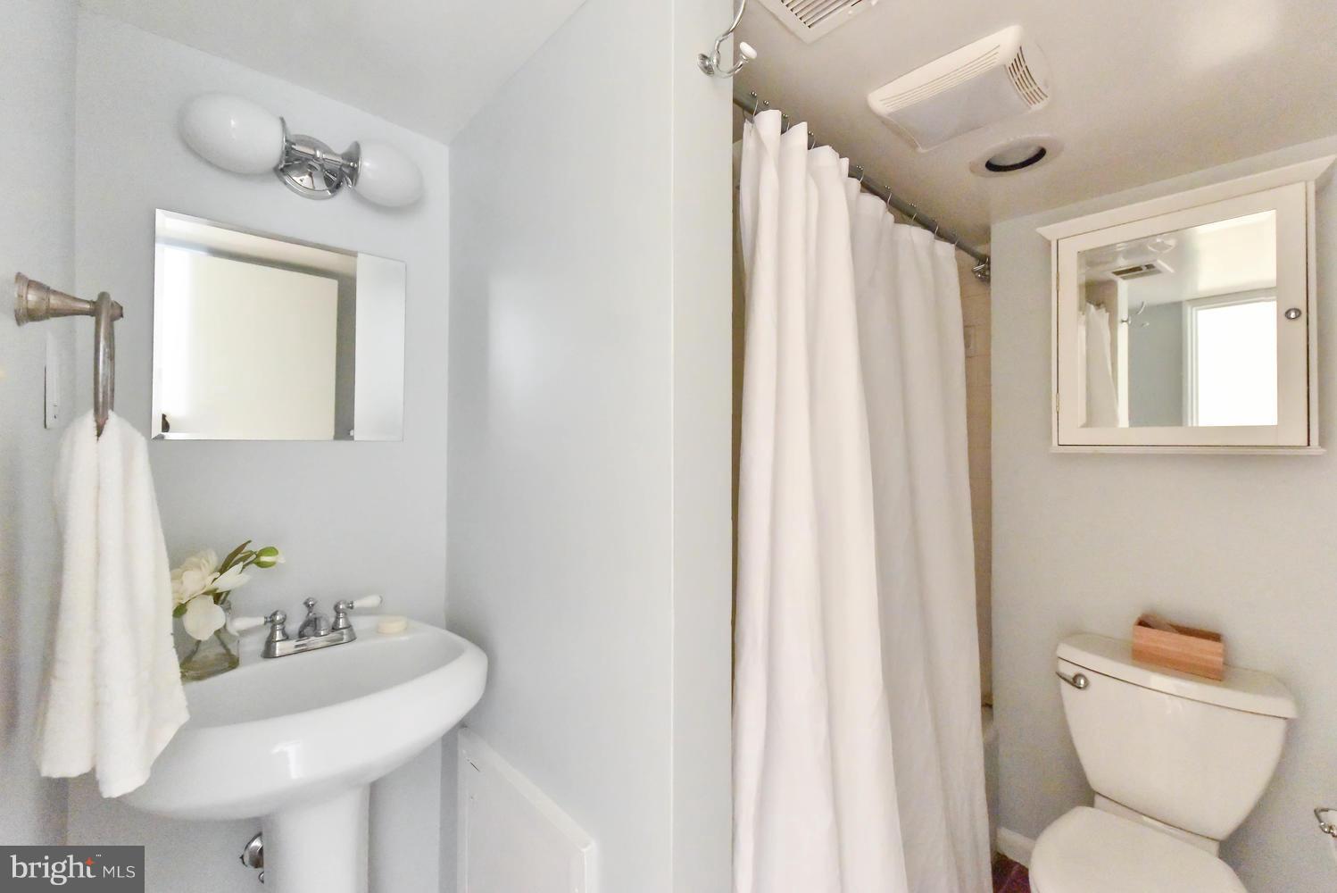 308 11th Street Southeast Washington, DC 20003 - Photo 30 of 30 a bathroom with a sink toilet and mirror