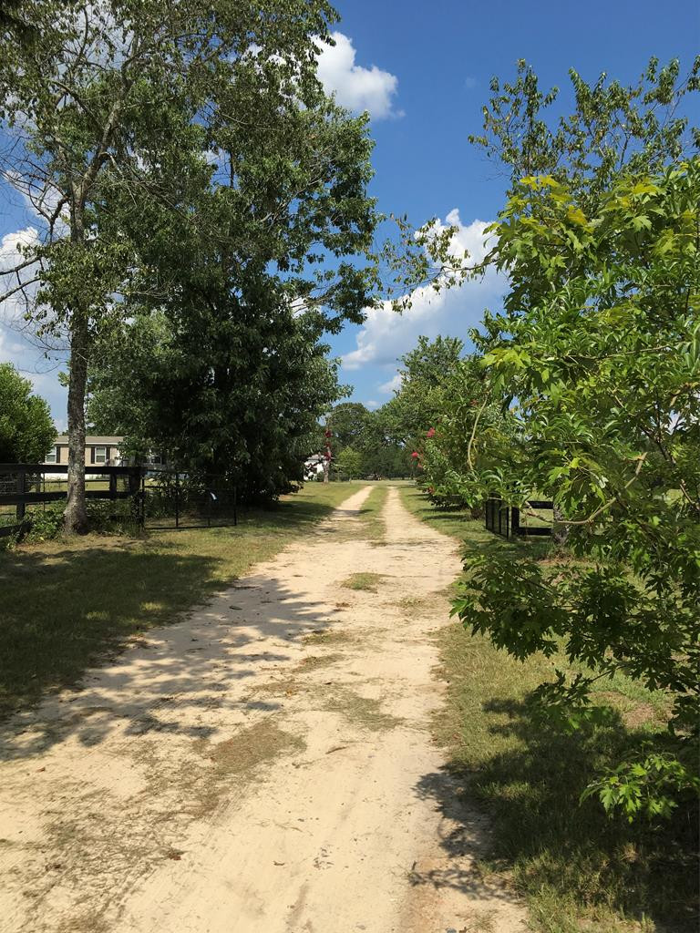 405 Cadle Crossing Road Windsor, SC 29856 - Photo 10 of 43