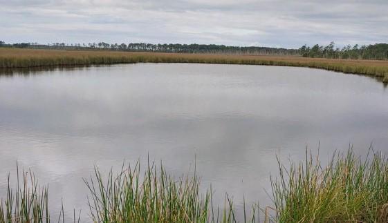 3241 Robbins Road Crapo, MD 21626 - Photo 5 of 44 Duck Heaven