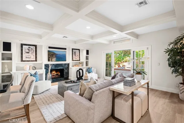a living room with furniture a fireplace and a potted plant