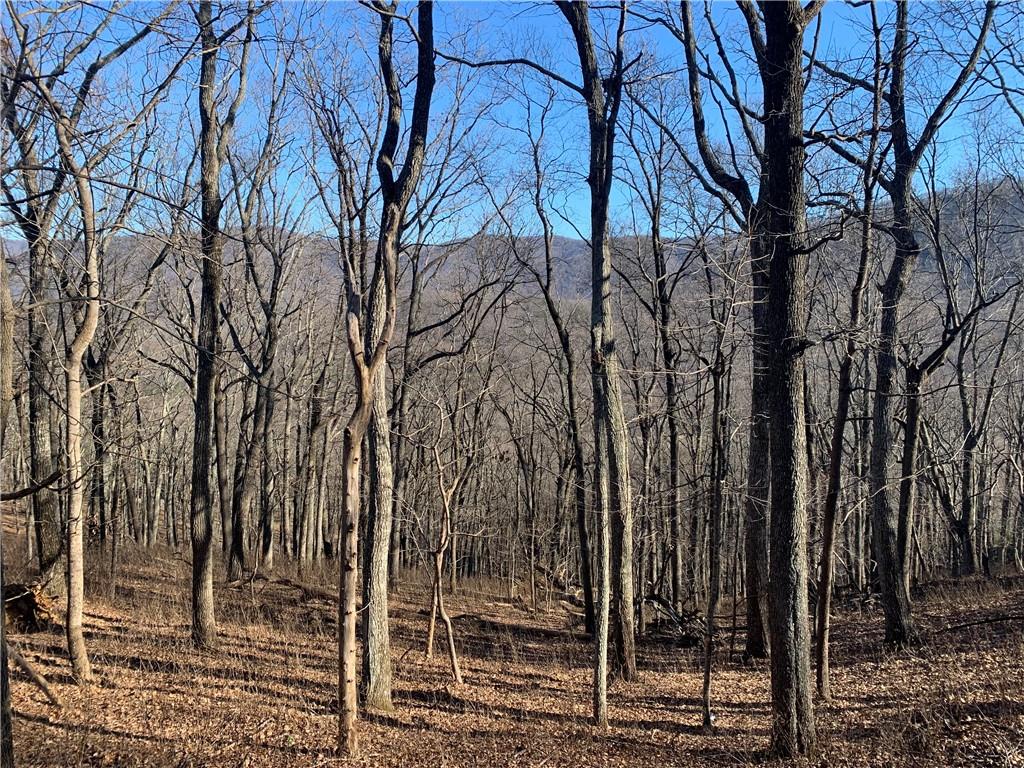 2933 Locust Trail Jasper, GA 30143 - Photo 2 of 5