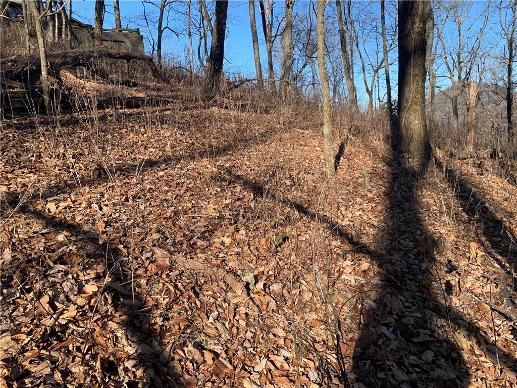 2933 Locust Trail Jasper, GA 30143 - Photo 3 of 5