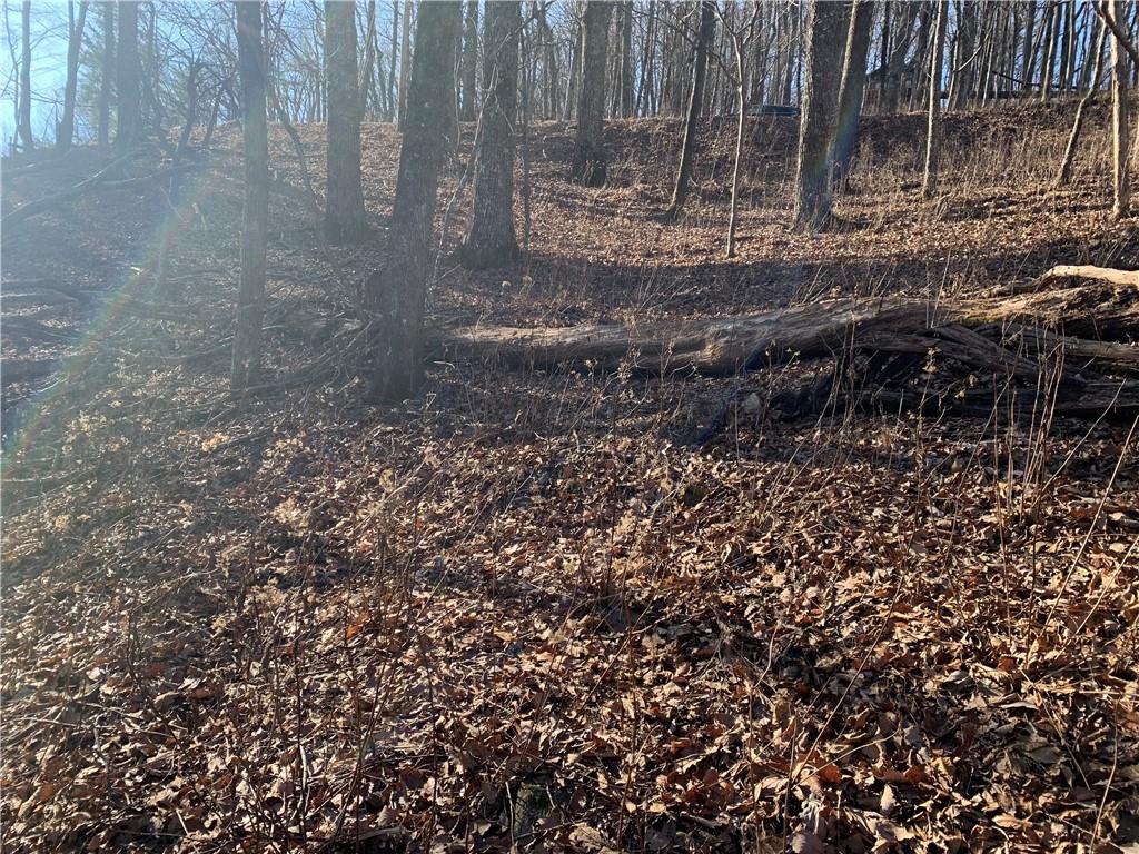 2933 Locust Trail Jasper, GA 30143 - Photo 5 of 5