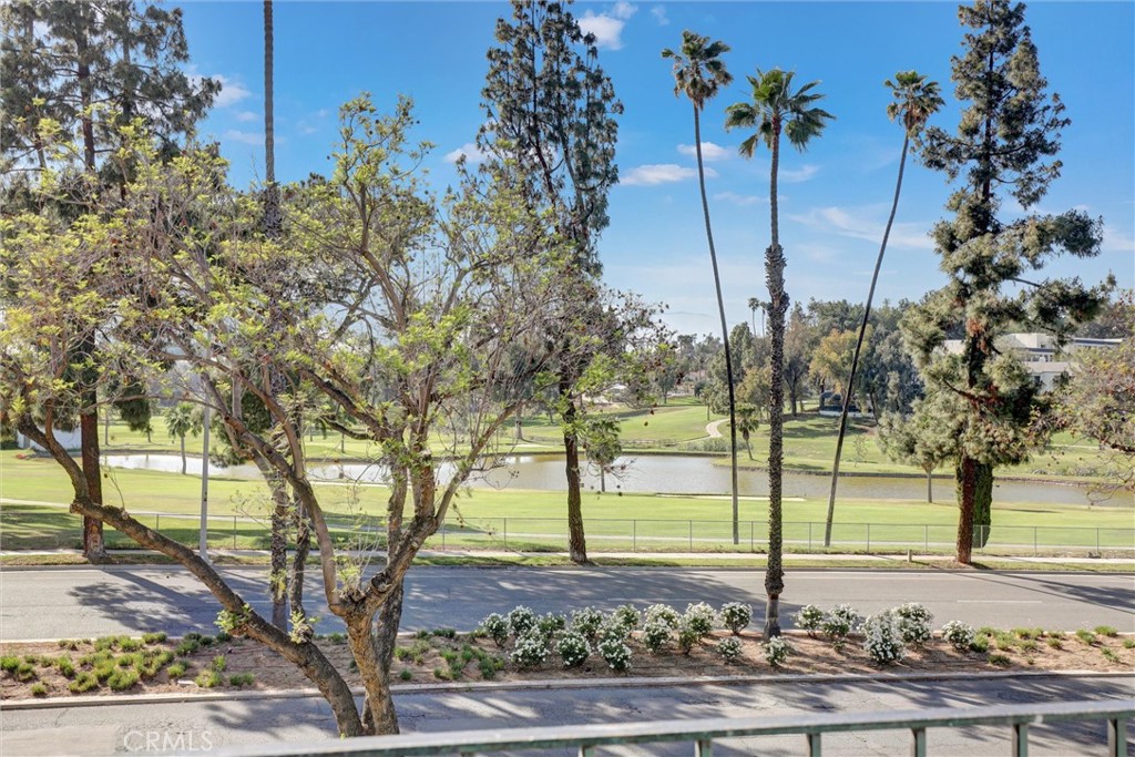 5625 Vía Junipero Serra Riverside, CA 92506 - Photo 27 of 27 Backyard View