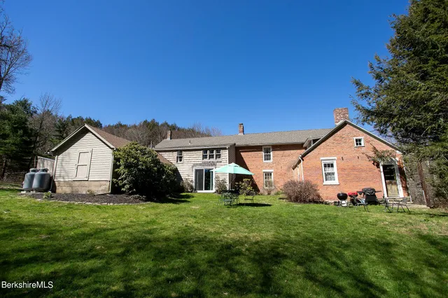 a view of a forest with a mountain
