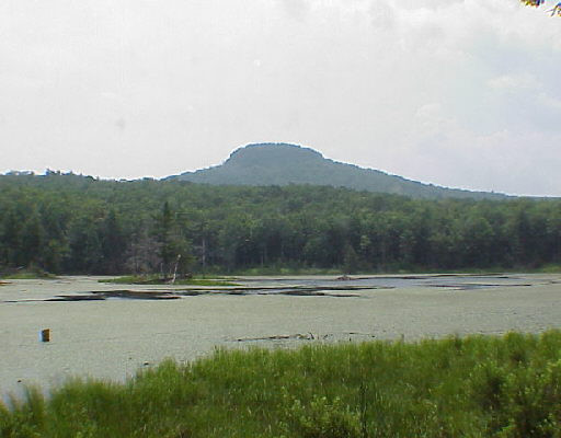 6 County Rt Rensselaerville, NY 12147 - Photo 1 of 2 Photo 1