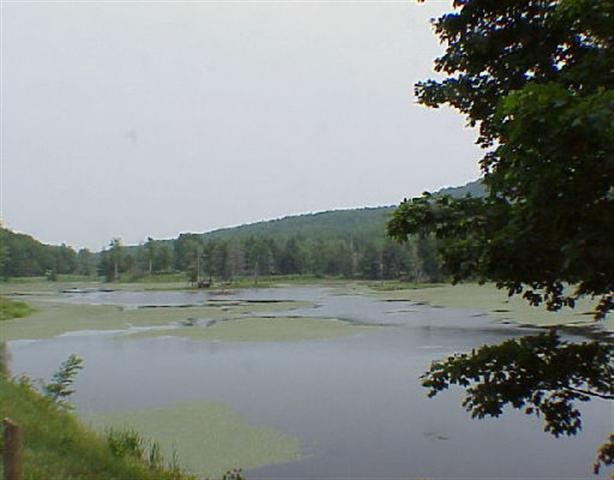 6 County Rt Rensselaerville, NY 12147 - Photo 2 of 2 Photo 2