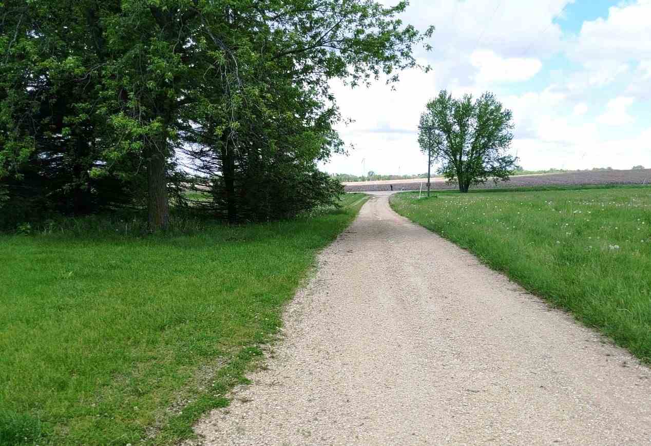 3377 Lee Road Lee, IL 60530 - Photo 23 of 24 a view of a street both of side forest