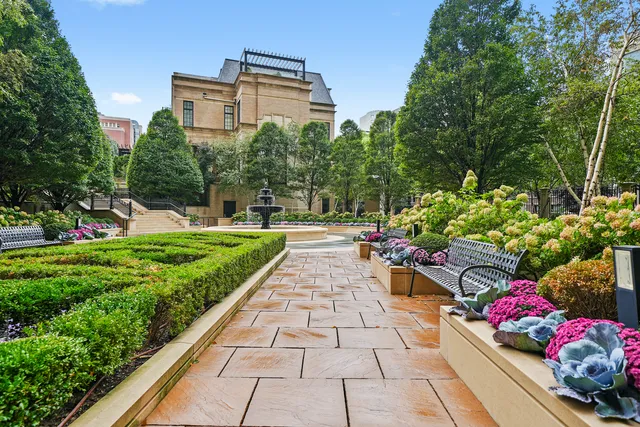 a view of a garden with flowers and flowers
