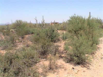 5225 North Sandario Road Tucson, AZ 85743 - Photo 1 of 5