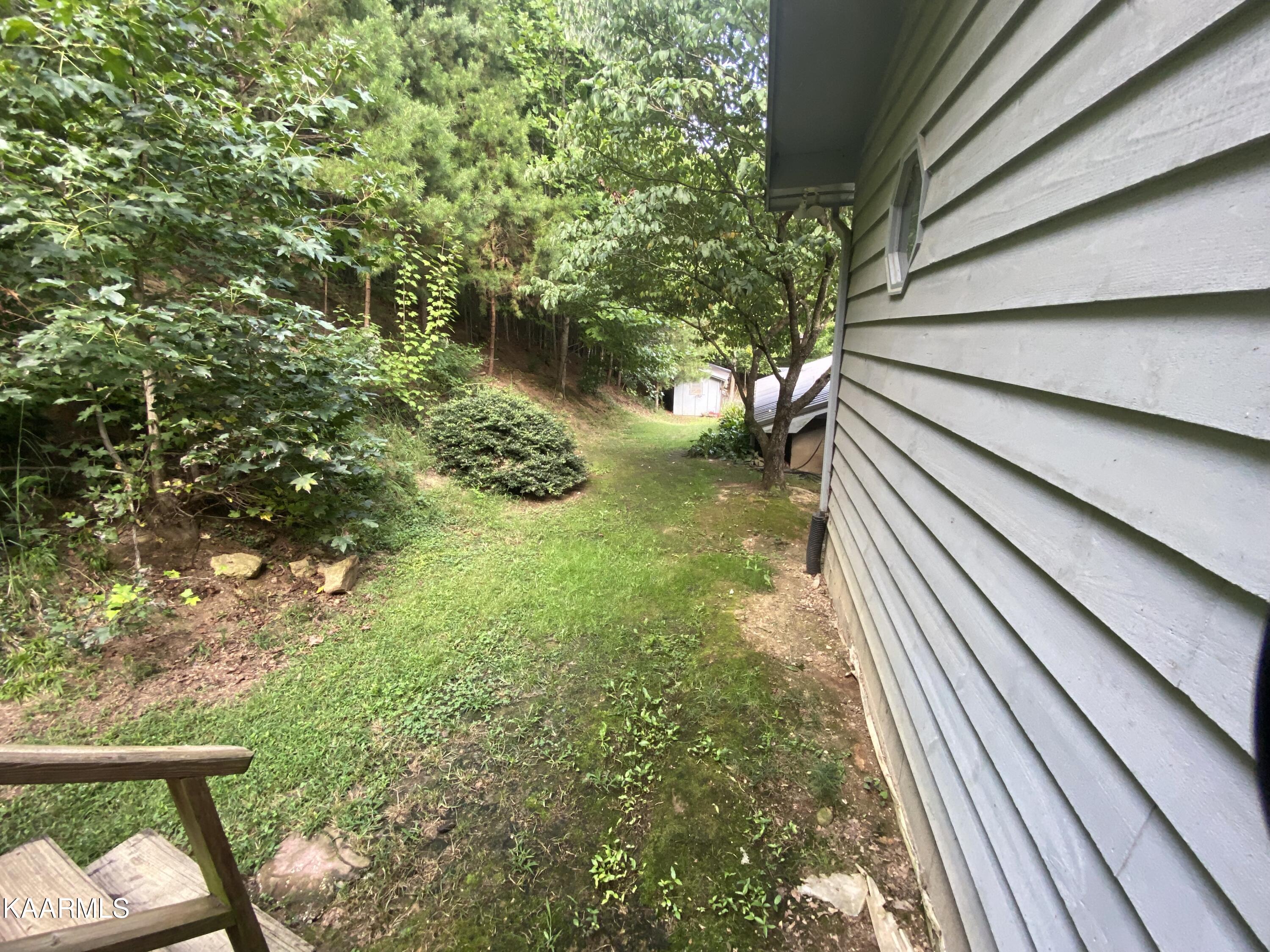 3164 Bogard Road Cosby, TN 37722 - Photo 3 of 44 IMG-1556