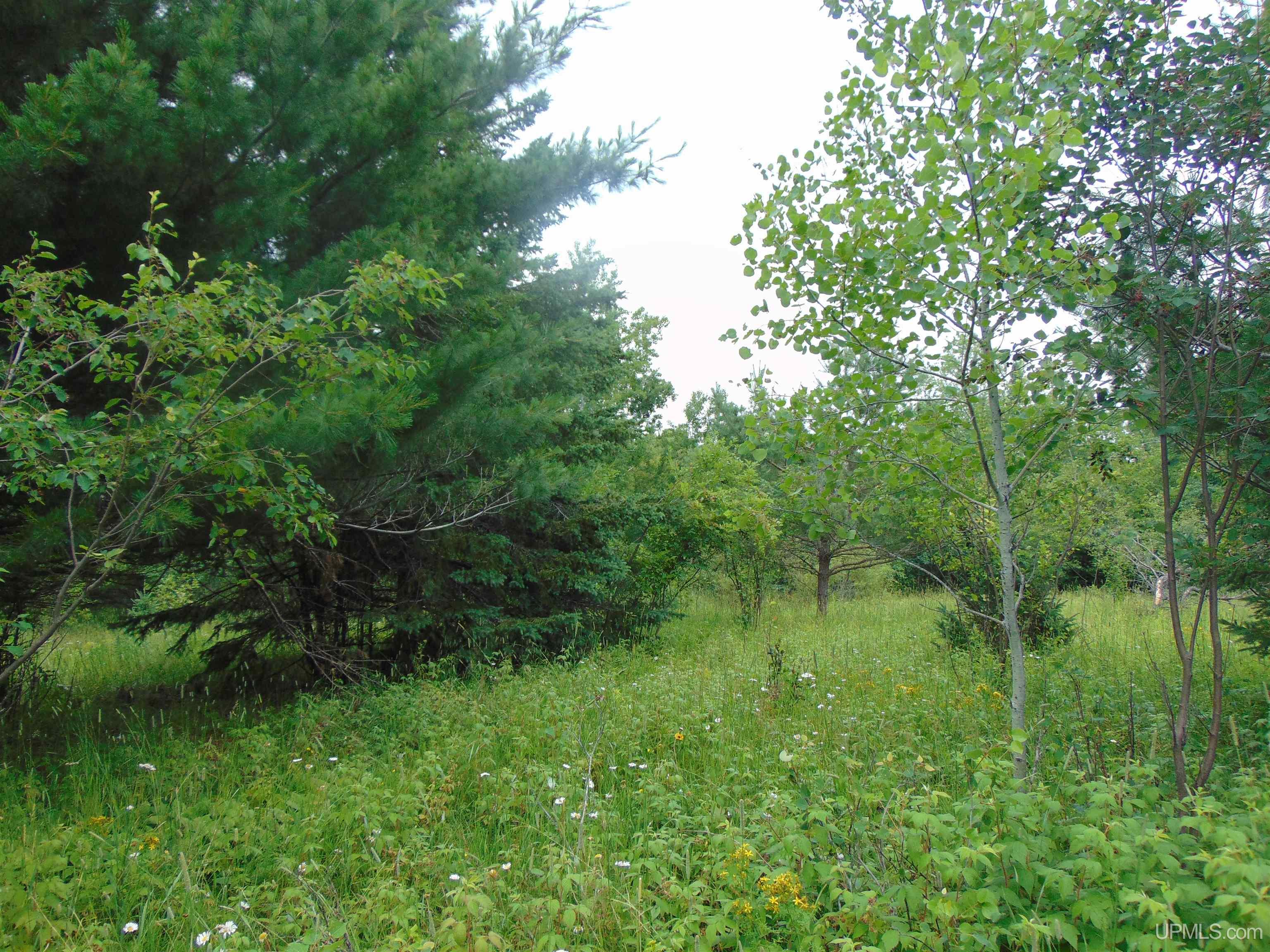 15 Grenlund Road Bruce Crossing, MI 49912 - Photo 13 of 18