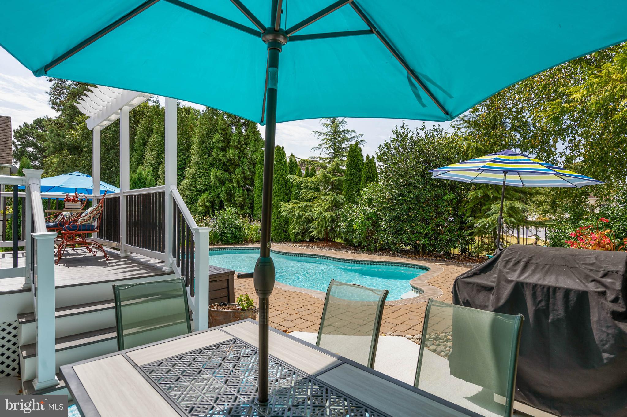 119 Wagamons Boulevard Milton, DE 19968 - Photo 37 of 51 Deck Overlooking Pool