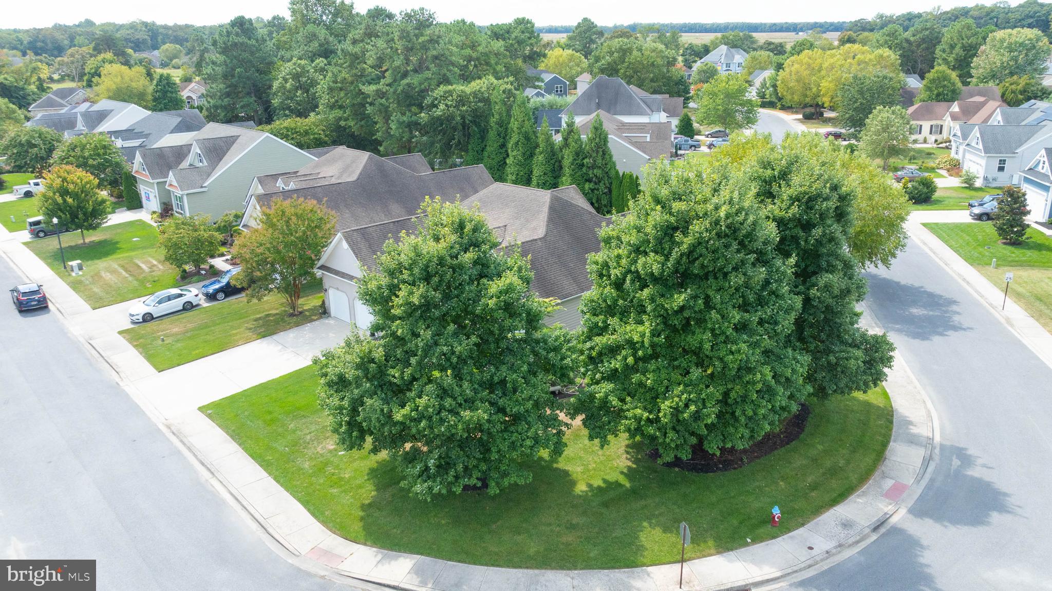 119 Wagamons Boulevard Milton, DE 19968 - Photo 5 of 51 Curb Appeal & Privacy