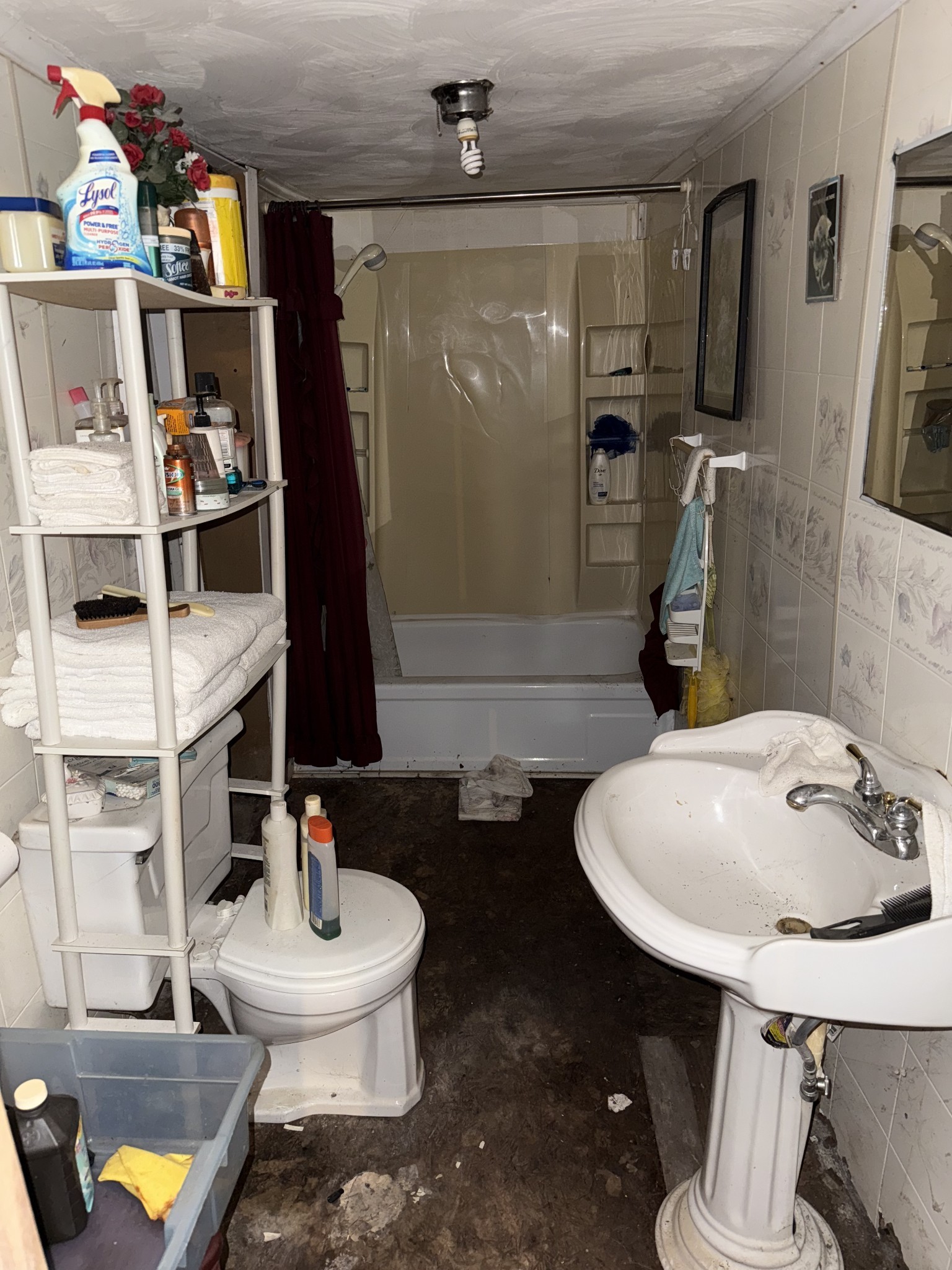 209 Olive Street Mount Pleasant, TN 38474 - Photo 6 of 14