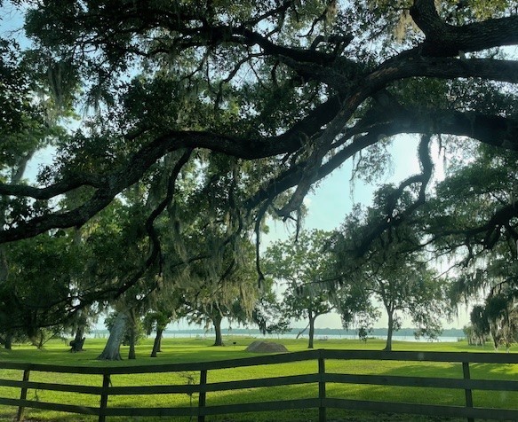 178 Horse Shoe Trail Angleton, TX 77515 - Photo 4 of 7 big fishing lake