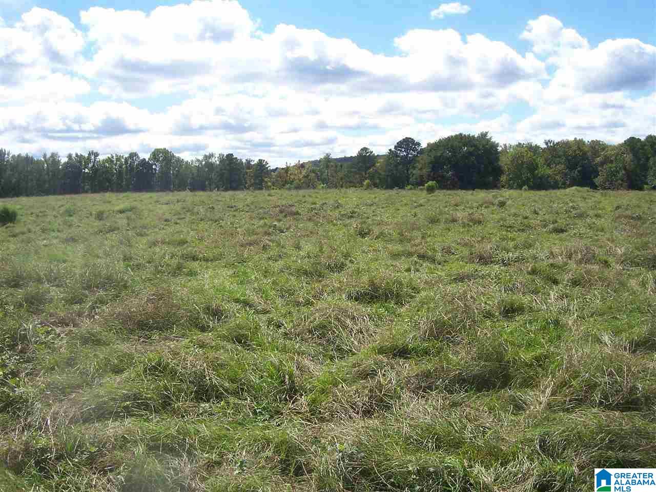 1 Hilton Road, Unit 57 ACRES Columbiana, AL 35051 - Photo 8 of 16