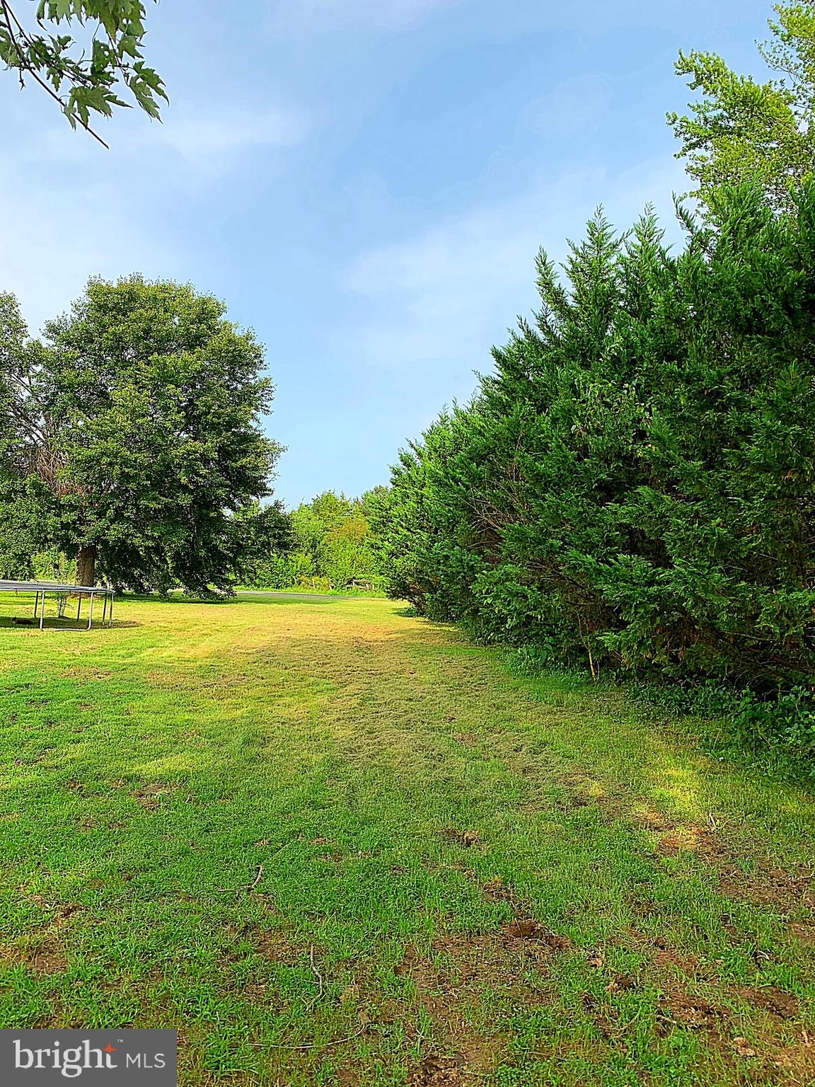 20048 Cedar Grove Road Culpeper, VA 22701 - Photo 21 of 27 Gallery Image 21