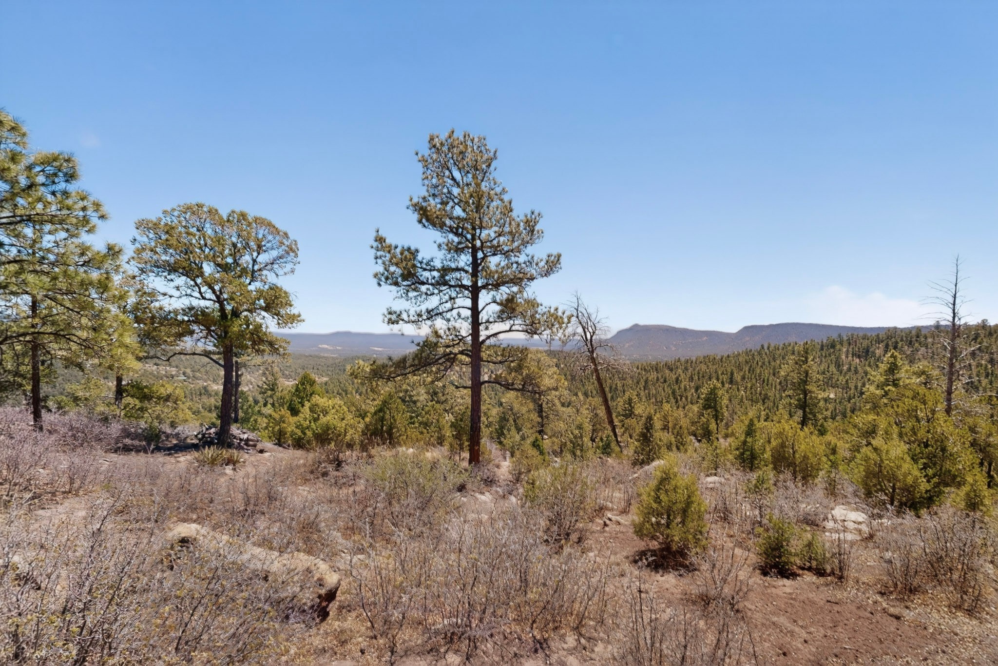 30 Monte La Cueva Road Glorieta, NM 87535 - Photo 82 of 91