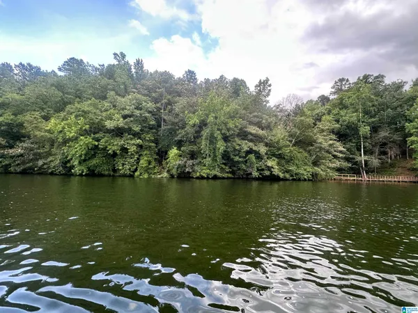 $119,999 | 0 County Road 707, Verbena, AL 36091