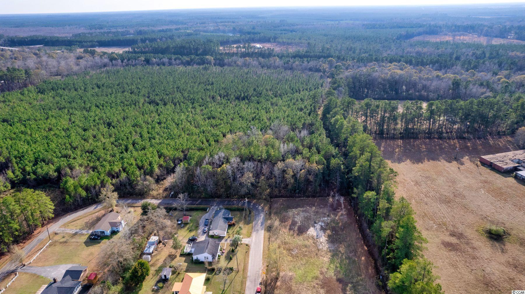 Bay Street Andrews, SC 29510 - Photo 1 of 14 Gallery Image 1