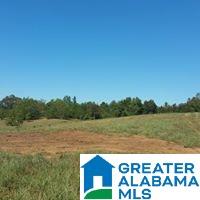 9 Highway 9 Lineville, AL 36266 - Photo 2 of 8