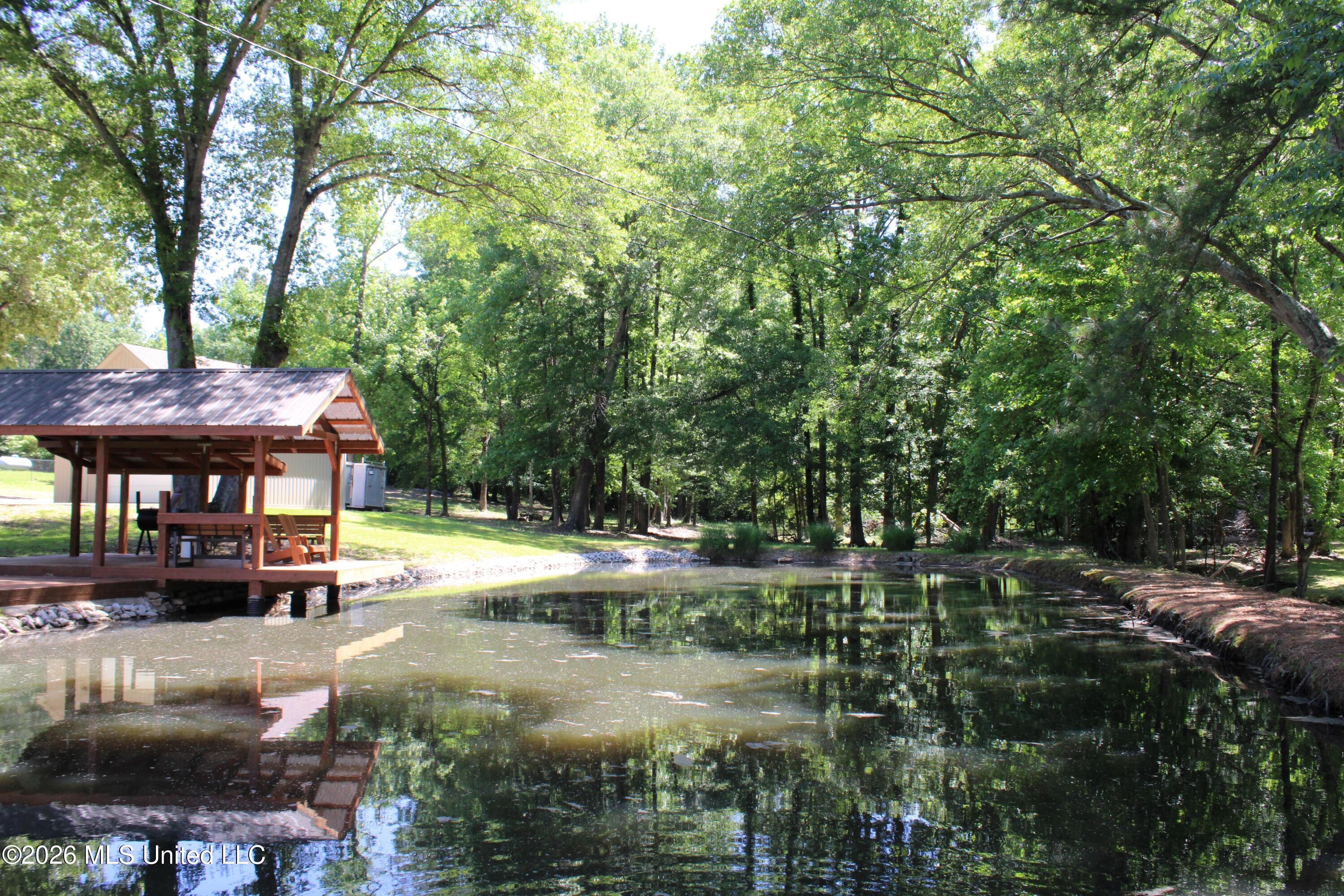 2934 North Red Banks Road Byhalia, MS 38611 - Photo 27 of 42 Pond and Pavilion