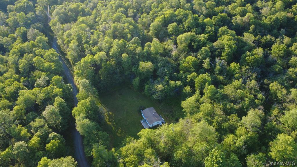52 Log Road Parksville, NY 12768 - Photo 18 of 31