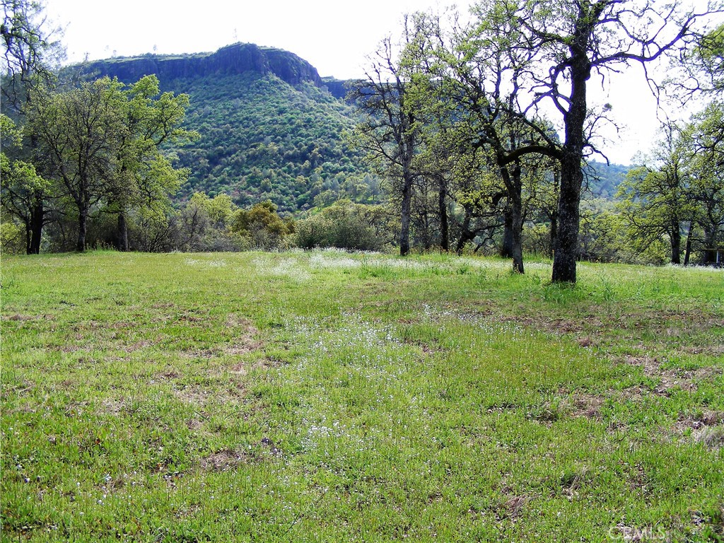 1985 Flatiron Road Chico, CA 95928 - Photo 50 of 67