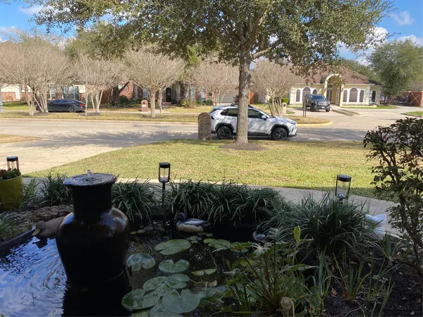 a view of a lake with lawn chairs and palm tree