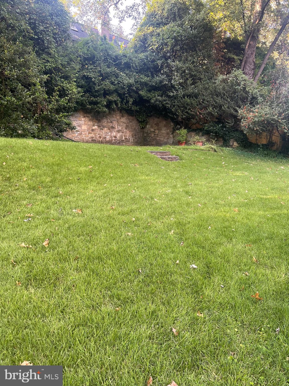 5528 Warwick Place Chevy Chase, MD 20815 - Photo 60 of 68