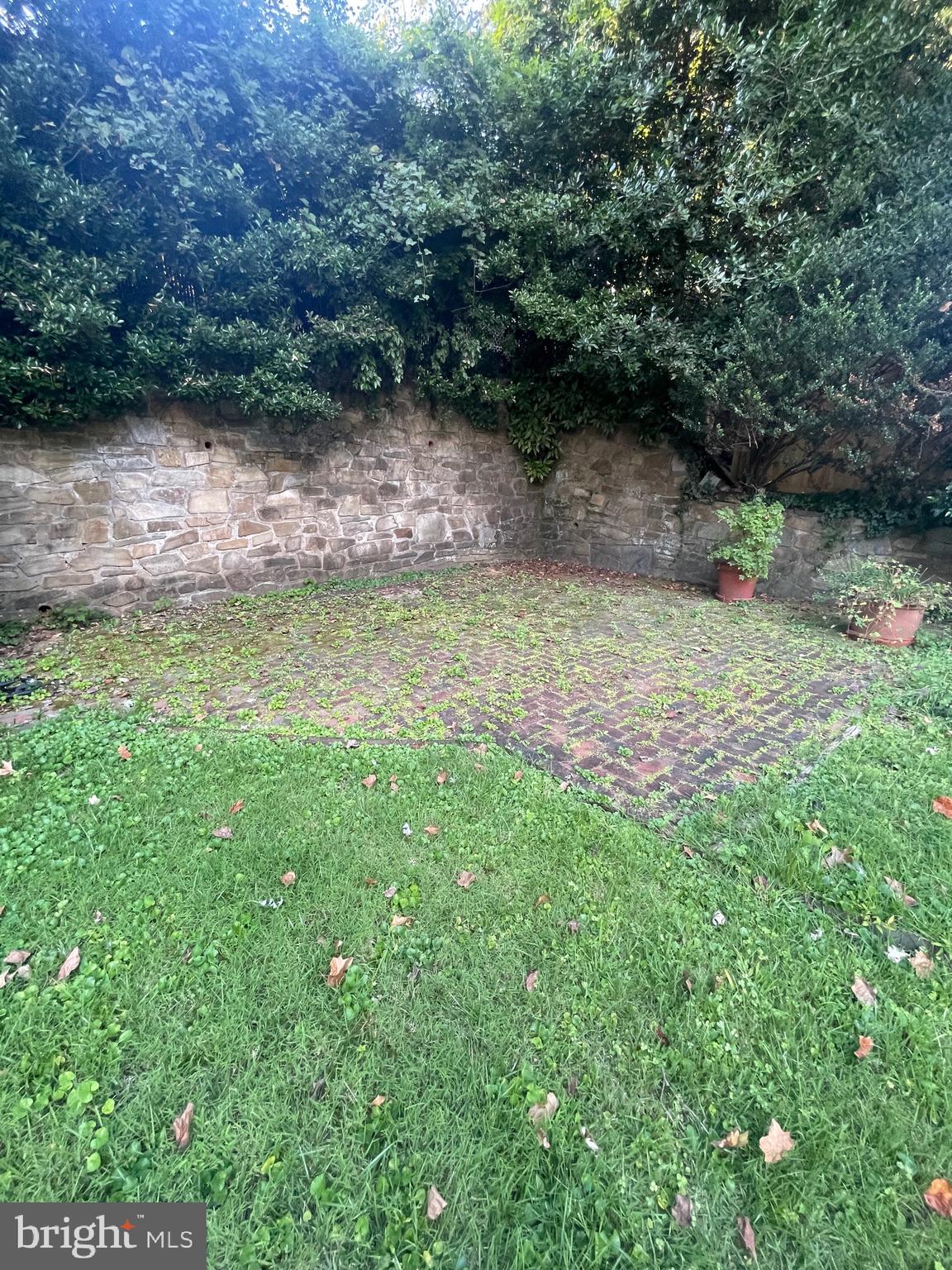 5528 Warwick Place Chevy Chase, MD 20815 - Photo 62 of 68