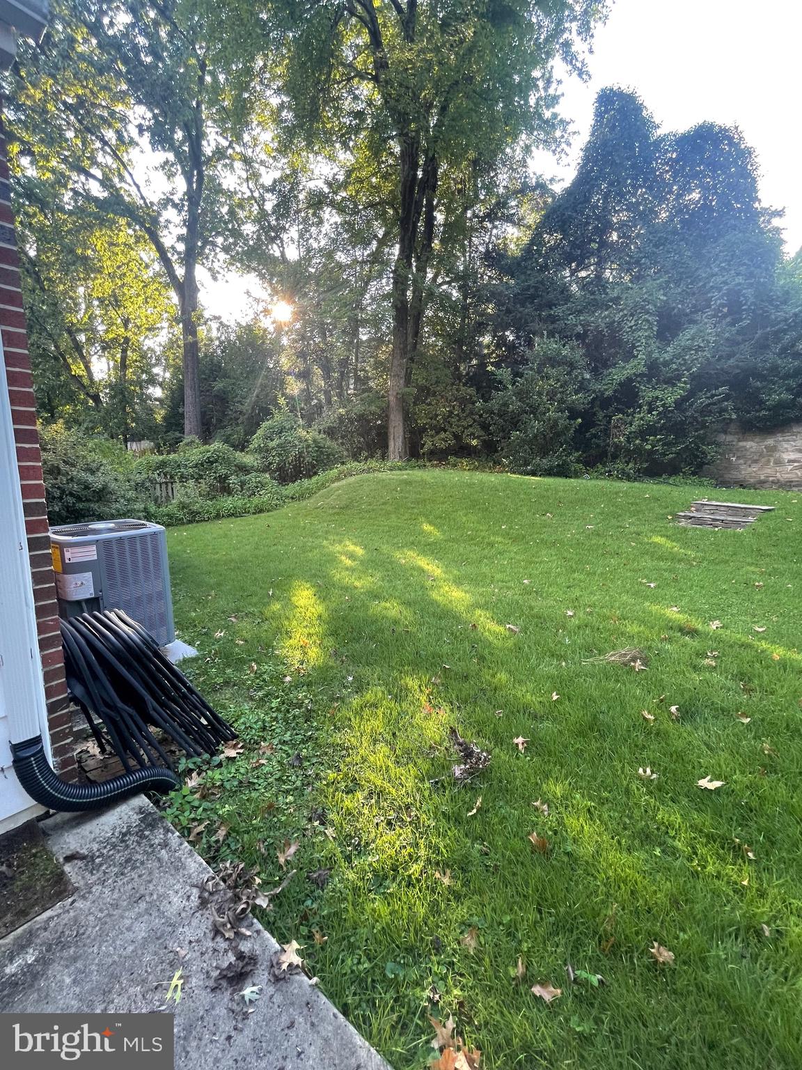 5528 Warwick Place Chevy Chase, MD 20815 - Photo 64 of 68