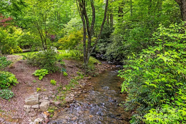 a view of a garden with plants