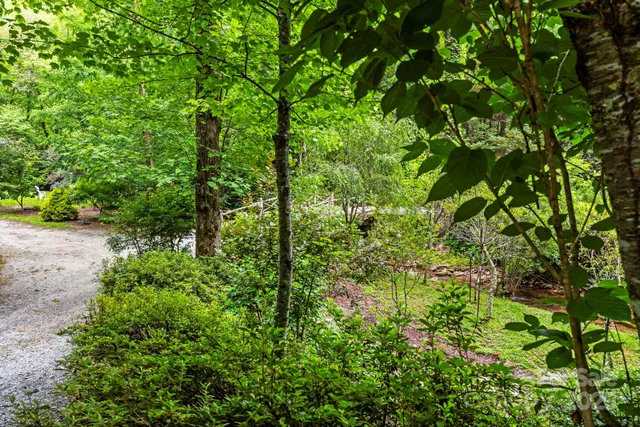a backyard of a house with lots of trees