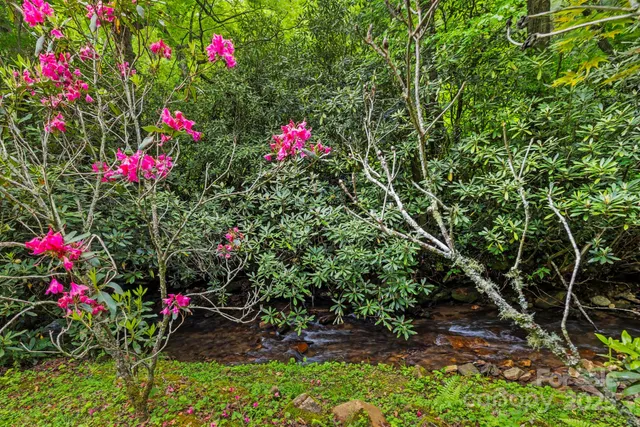 a view of a green field with trees in the background