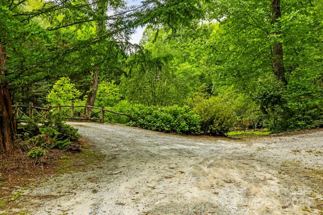 a view of a wooden deck with chairs and potted plants