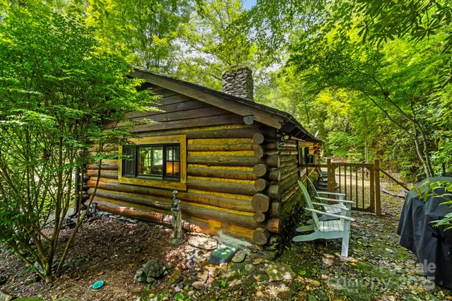 a map view of a tree with a plant
