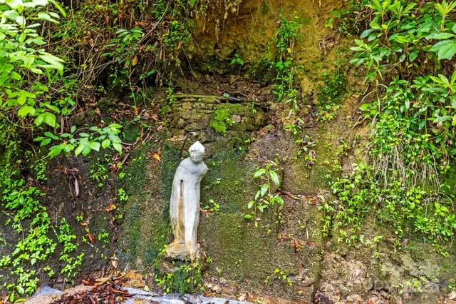 a backyard of a house with lots of green space and a fountain