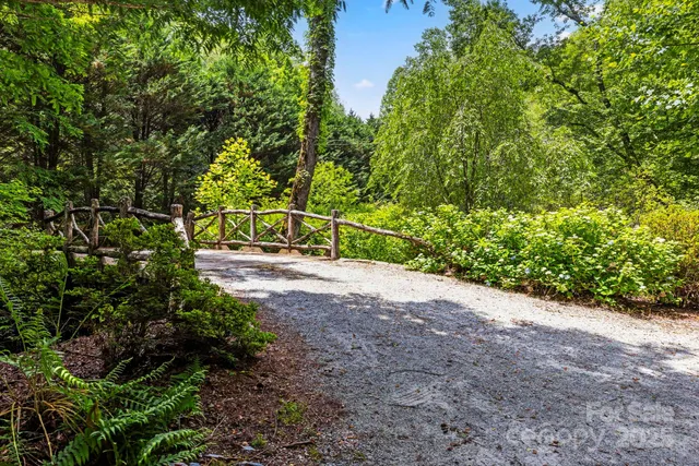 a view of green field with flowers and trees