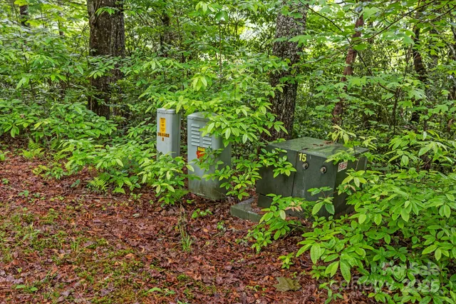 a flag is sitting in the middle of a garden