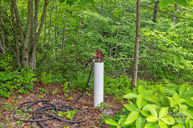a view of a lake with table and chairs potted plants and large tree