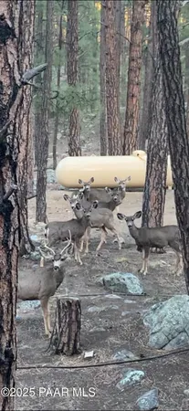 a view of a building with a tree
